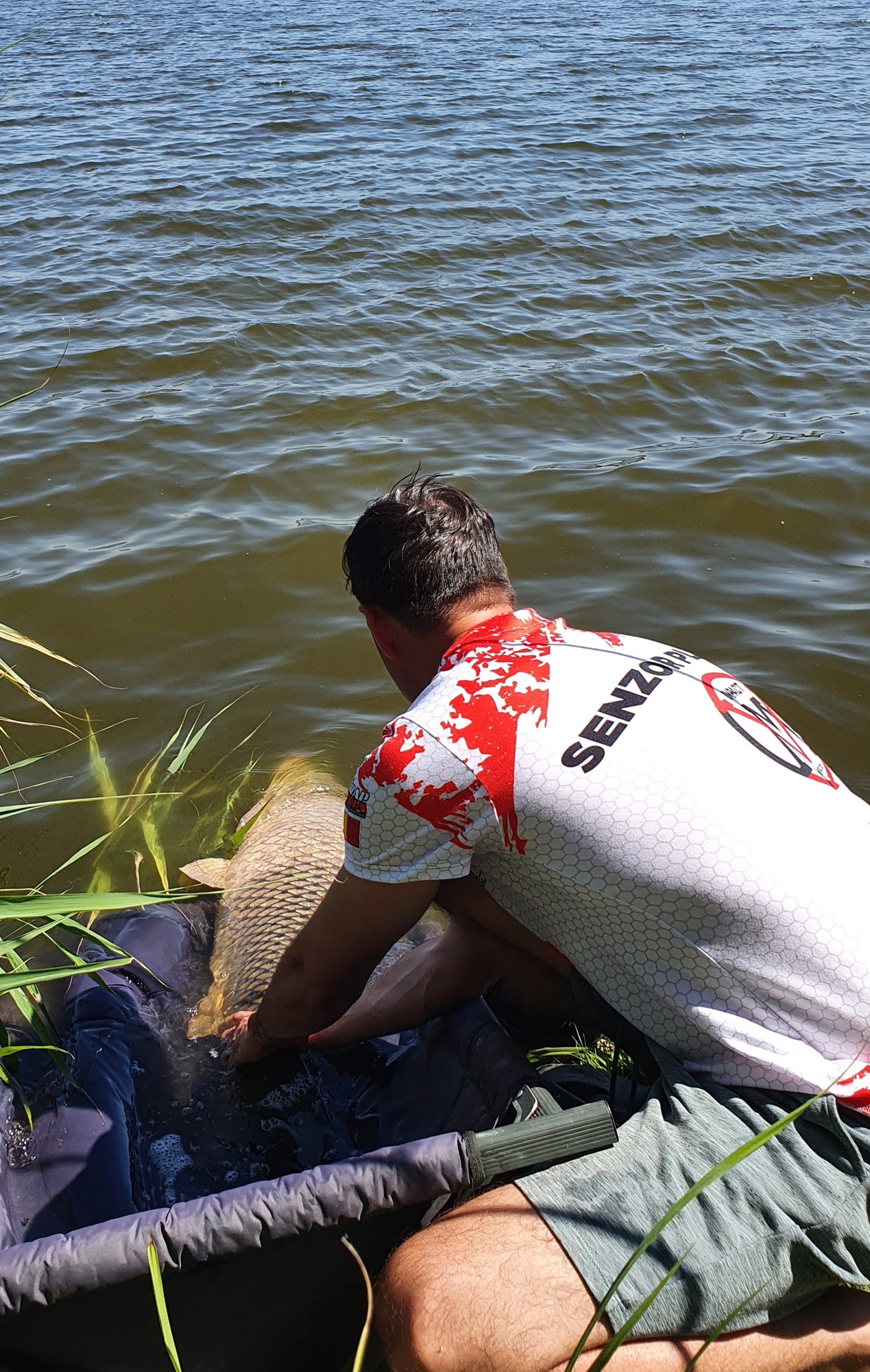 Tancabesti 9 - 12 iulie 2020 - 20200711152914.jpg